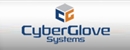 CyberGlove(1)
                        